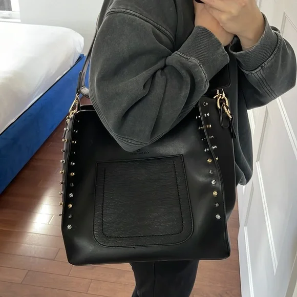 Celine Dion Purse - Picture 1 of 7